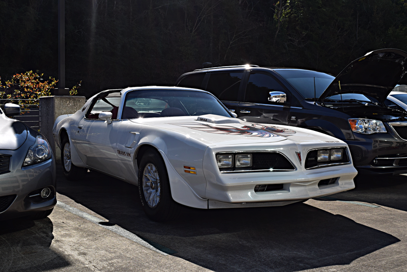 Illustration for article titled Magic City Octane Photodump from October and November